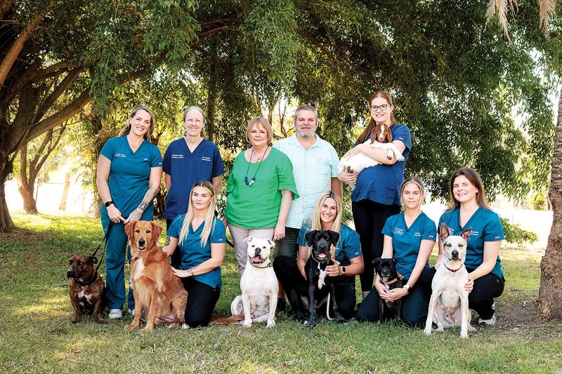 Airlie Beach Veterinary Surgery team