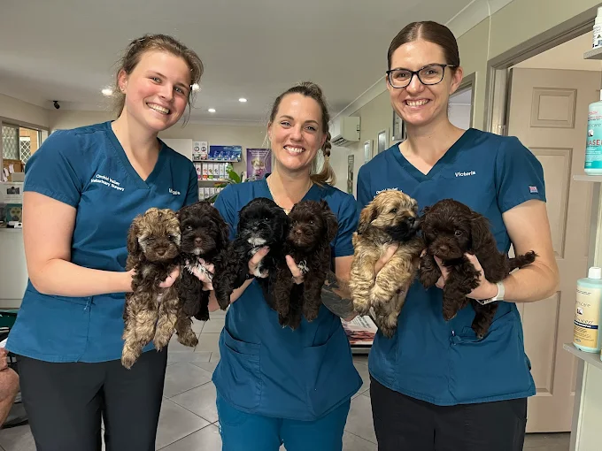 Vet nurses with puppies
